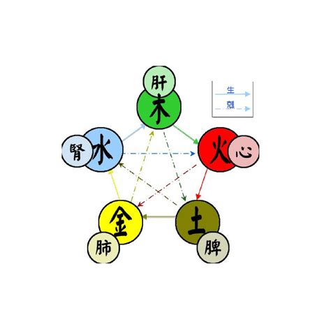 緯五行|五行(對萬事萬物的取象比類):簡介介紹,涵義解析,初始含義,對應關。